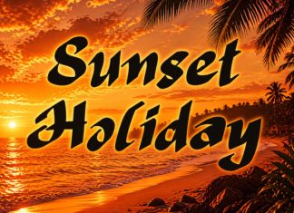 Summer Delano Font preview image 3