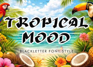 Tropical Mood Font preview image 1