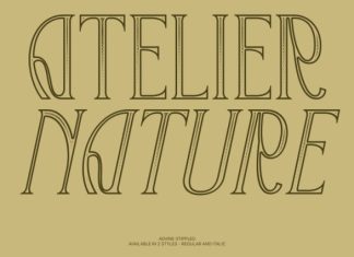 Advine Stippled Font preview image 3