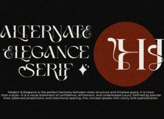 Anajem Serif Font preview image 3