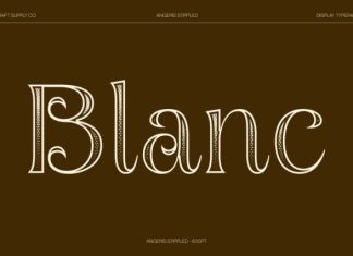 Angeris Stippled Font preview image 3