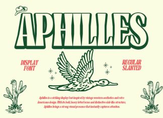 Aphilles Display Font preview image 1