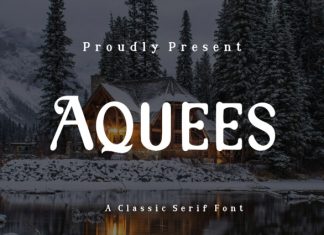 Aquees Font preview image 1