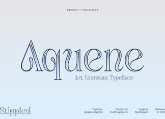 Aquene Stippled Font preview image 1