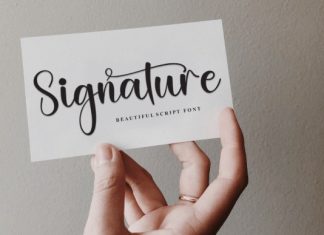 Aunty Script Font preview image 2