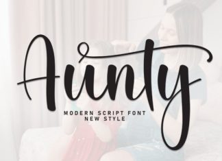 Aunty Script Font preview image 1