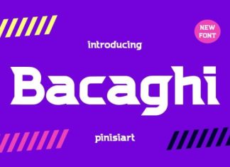 Bacaghi Font preview image 1