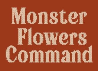 Badoney Stitched Font preview image 3