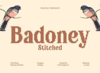Badoney Stitched Font preview image 1