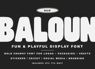 BALOUN FONT preview image 1