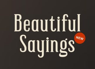 Beautiful Sayings Font preview image 1