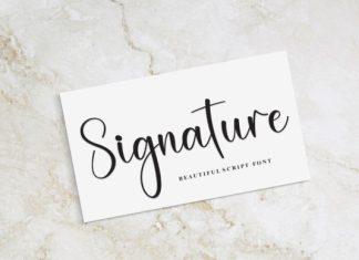 Beauty Highland Handwritten Font preview image 2