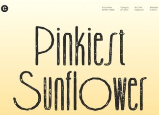Belkon Stamp Font preview image 3