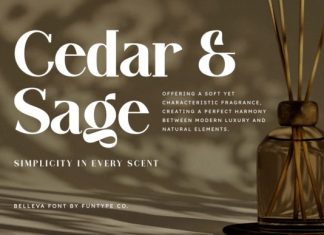 Belleva Font preview image 3