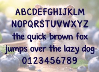 Berry the Hamster Font preview image 2