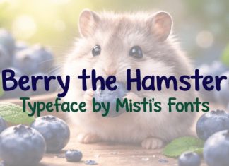Berry the Hamster Font preview image 1