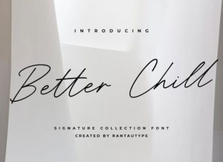 Better Chill Handwriting Font preview image 1