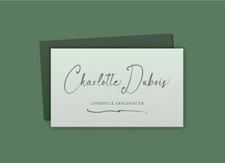 Beverly Sage Handwritten Font preview image 2