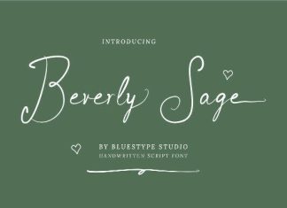 Beverly Sage Handwritten Font preview image 1