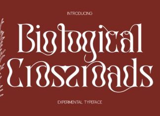 Biological Crossroads Font preview image 1