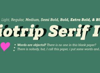 Biotrip Serif Font preview image 2