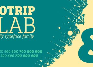 Biotrip Serif Font preview image 3