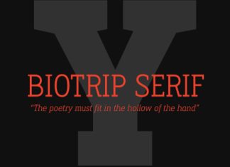 Biotrip Serif Font preview image 1