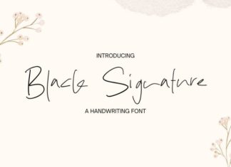 Black Signature Font preview image 1