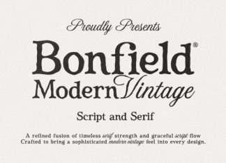 Bonfield Serif Font Duo preview image 1