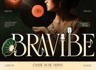 Bravibe Font preview image 1