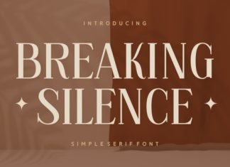 Breaking Silence Font preview image 1