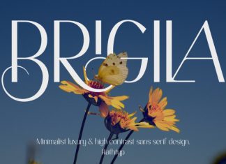Brigila Font preview image 1