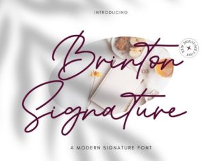 Brinton Signature Handwriting Font preview image 1