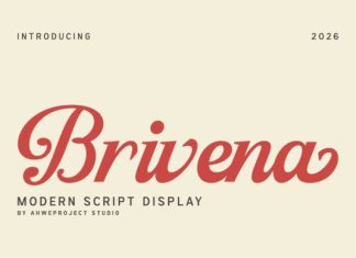 Brivena Font preview image 1