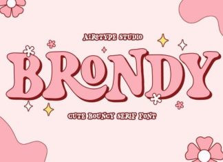 Brondy Font preview image 1