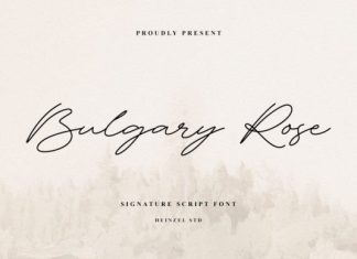 Bulgary Rose Handwriting Font preview image 1