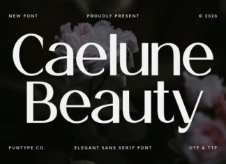 Caelune Beauty Font preview image 1