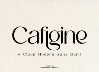 Cafigine Font preview image 1