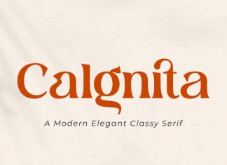 Calgnita Font preview image 1