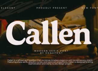 Callen Font preview image 1