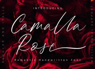 Camalla Rose Script Font preview image 1