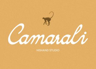 Camarali Font preview image 1