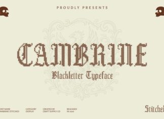 Cambrine Stitched Font preview image 1