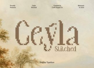 Ceyla Stitched Font preview image 1