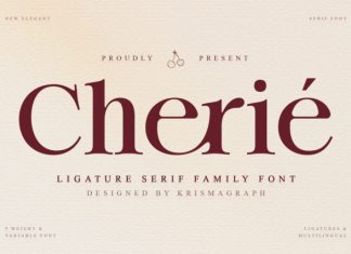 Cherié Serif Font preview image 1