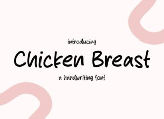 Chicken Breast Font preview image 1