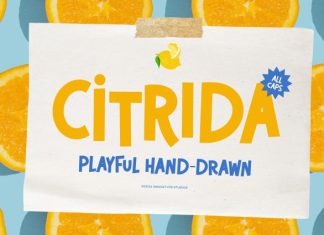 Citrida Font preview image 1