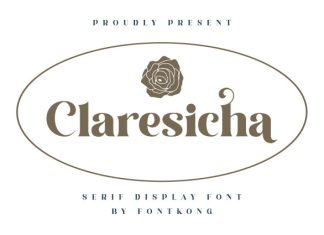 Claresicha Font preview image 1