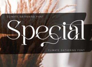 Climate Gathering Font preview image 3