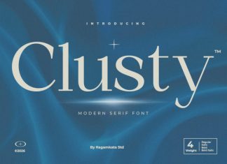 Clusty Font preview image 1